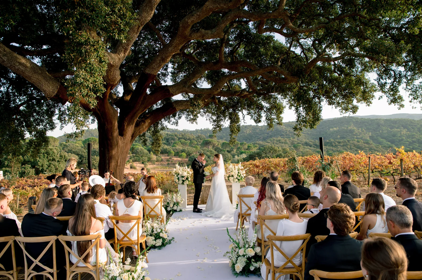 Vineyard ceremony under ancient oak tree in Alentejo