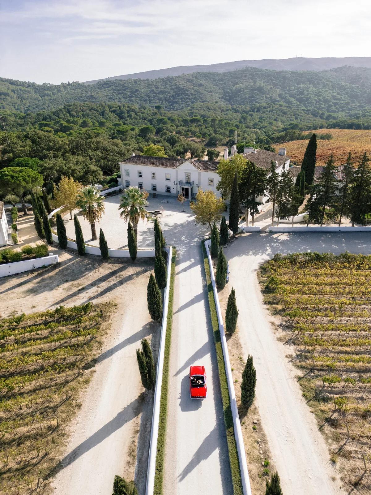 Aerial view of red vintage car driving through cypress-lined vineyard estate