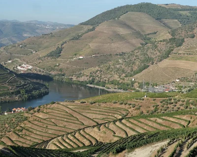 Douro Valley wedding destination