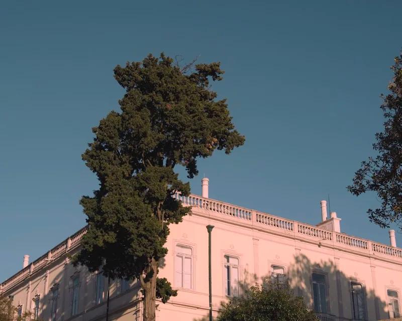 Lisbon wedding destination