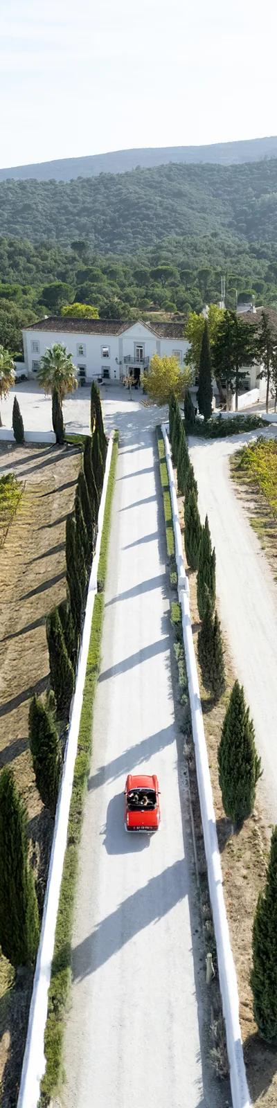 Couple at stone balcony with white peacock on the railing