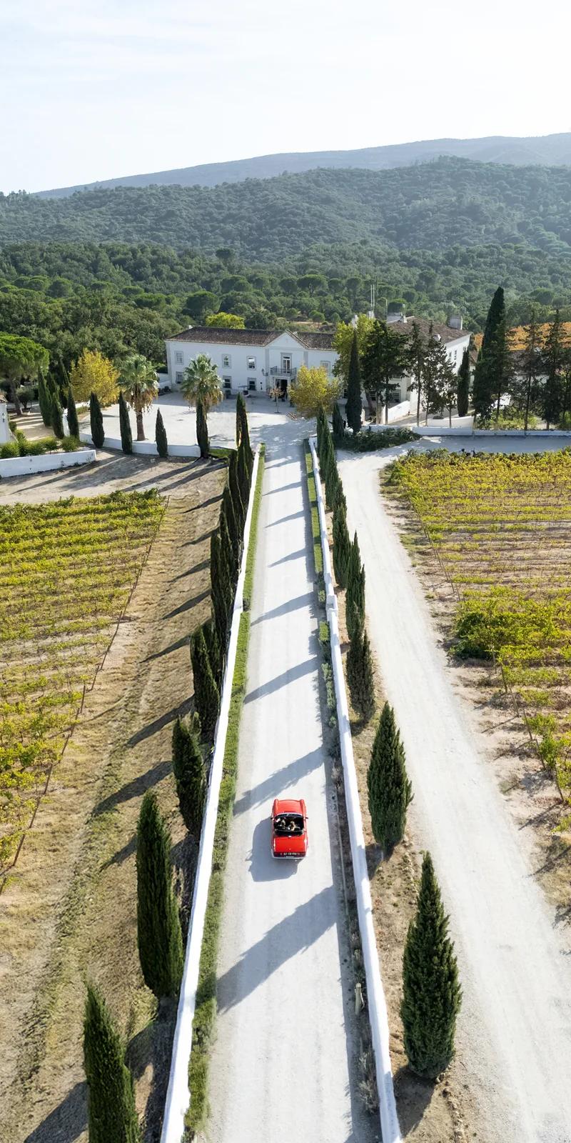 Couple at stone balcony with white peacock on the railing